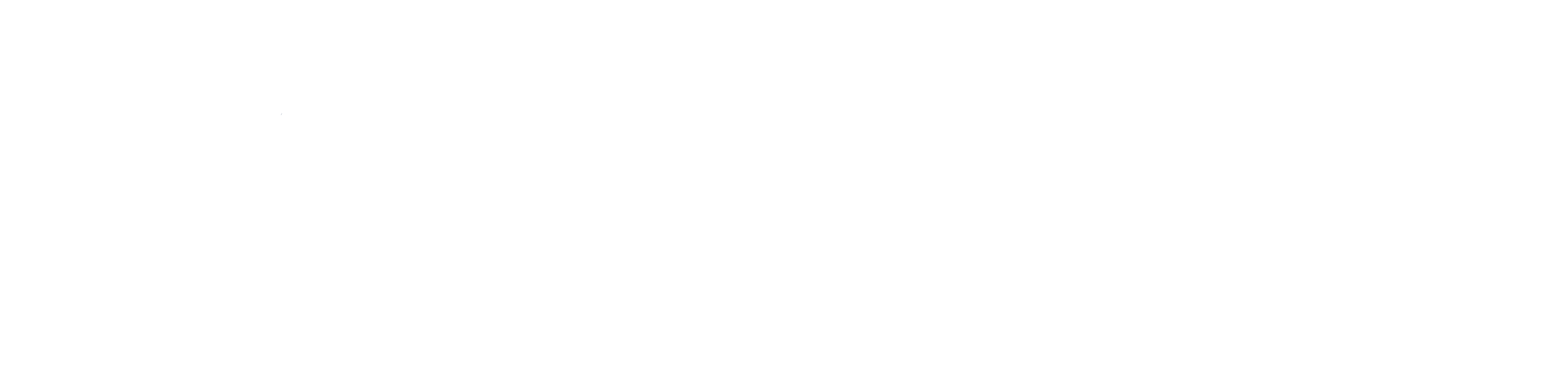 DataMap-Logo---White